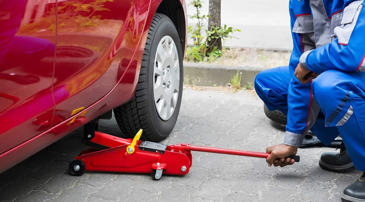 جک سوسماری چیست؟ کاربرد ها + انواع آن